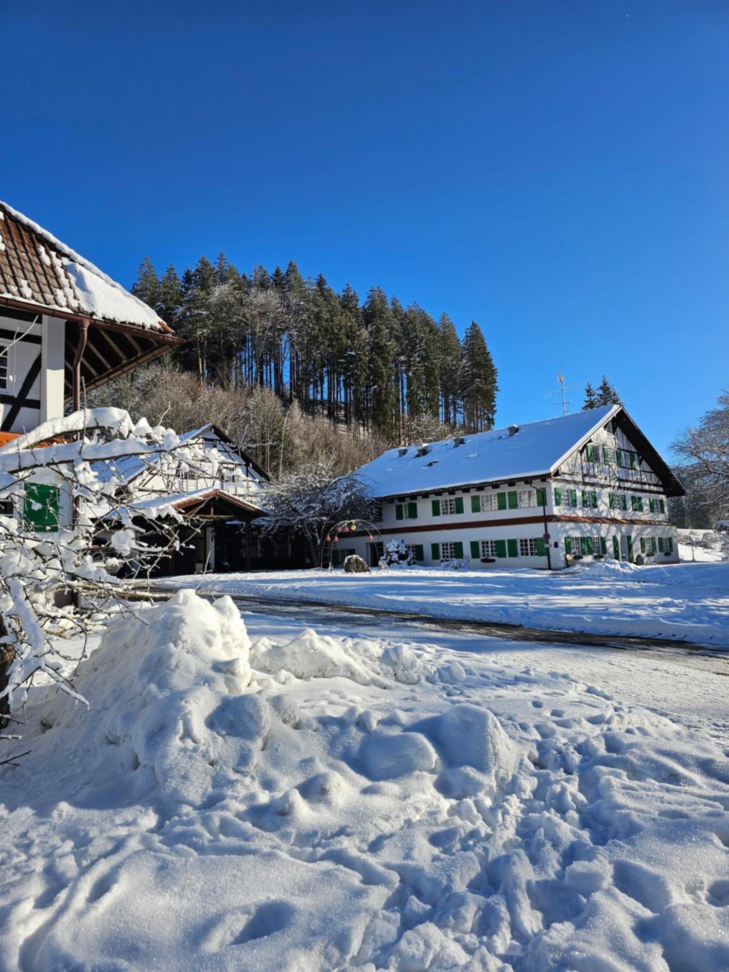 Allgaeu Residenz Natur & Spa Gmbh Wiggensbach Dış mekan fotoğraf