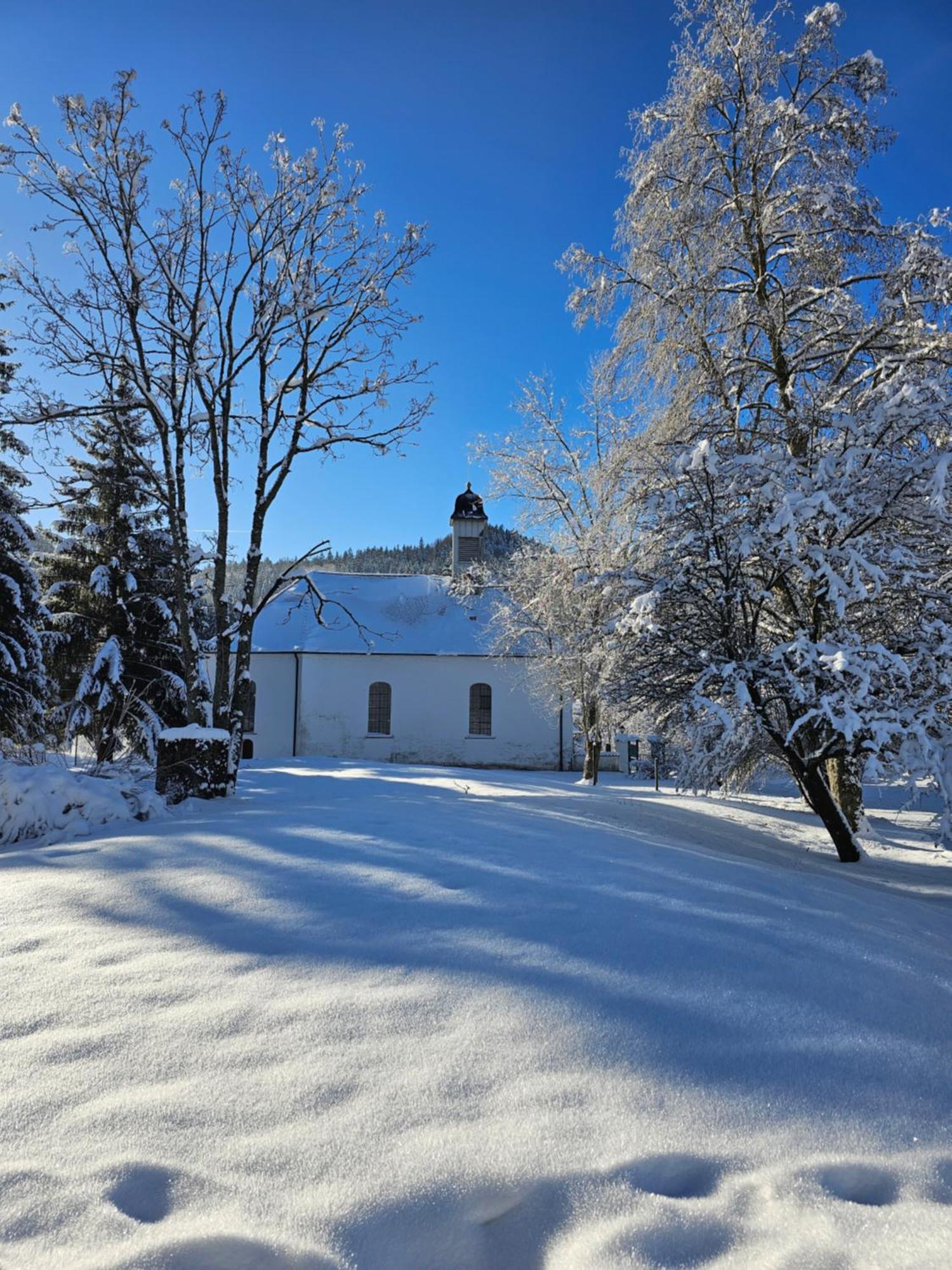Allgaeu Residenz Natur & Spa Gmbh Wiggensbach Dış mekan fotoğraf